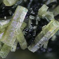 Pyrosmalite-(Fe)