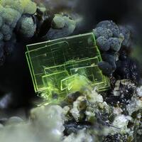 Autunite