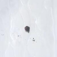 Aurihydrargyrumite