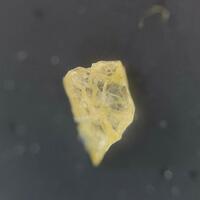 Natrophilite