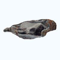 Iron Meteorite Var Kamacite