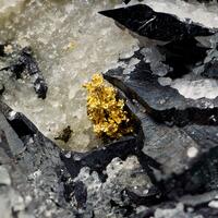 Gold With Ferberite & Pyrite