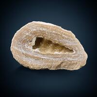 Calcite Psm Fossil