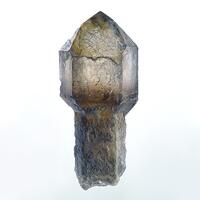 Smoky Quartz Var Sceptre