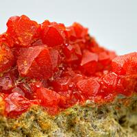 Vanadian Wulfenite