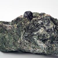 Loparite Eudialyte & Actinolite