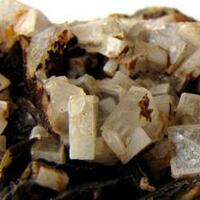 Baryte On Siderite