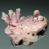 Rhodochrosite Quartz Calcite Gypsum & Galena