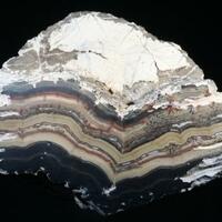 Schalenblende