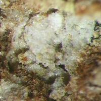 Barahonaite-(Fe) Arsenocrandallite & Yukonite