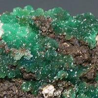 Cuprian Adamite