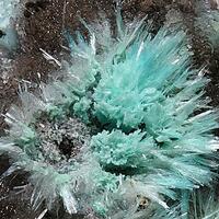 Aurichalcite & Hemimorphite