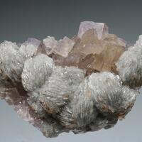 Baryte & Fluorite