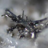 Cannizzarite