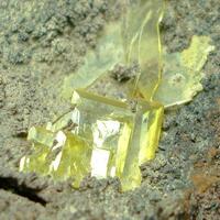 Wulfenite