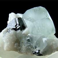 Aquamarine With Tantalite-(Mn)