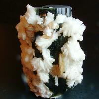 Tourmaline With Cleavelandite & Phlogopite