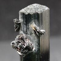 Tantalite-(Mn) With Tourmaline