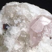 Beryl Var Morganite With Tantalite-(Mn) Quartz & Cleavelandite