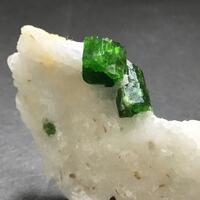 Pargasite With Phlogopite