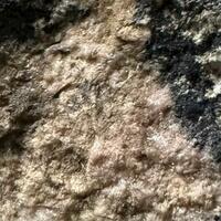 Alleghanyite