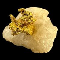 Gold
