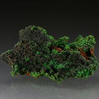 Conichalcite With Cuprite