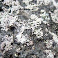 Native Bismuth & Erythrite
