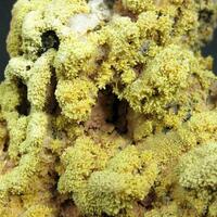 Pyromorphite