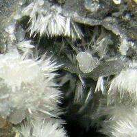 Lanarkite Thorikosite Aragonite & Fluorite