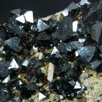 Magnetite & Carbonate-rich Hydroxylapatite