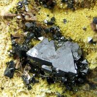 Magnetite With Nepheline On Quartz Psm Calcite