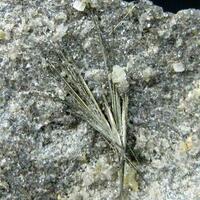 Millerite With Dolomite