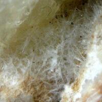 Mordenite On Calcite