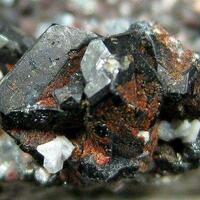 Yazganite Tridymite & Cassiterite On Hematite