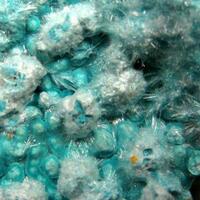 Aurichalcite & Gibbsite