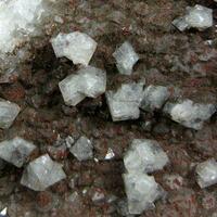 Chabazite On Quartz & Goethite