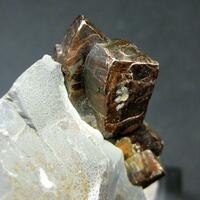 Limonite Psm Pyrite