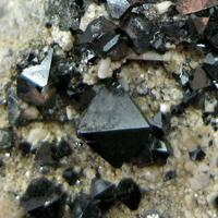 Magnetite & Carbonate-rich Hydroxylapatite