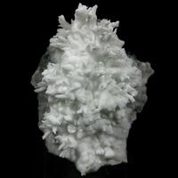 Aragonite Var Flos Ferri