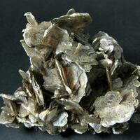 Muscovite