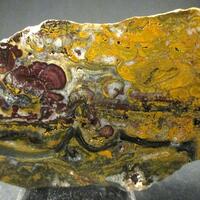 Quartz Var Eisenkiesel Psm Fossil Stromatolite