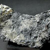 Valentinite & Stibnite On Native Antimony