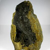 Chalcedony & Limonite Psm Fossil Stromatolite
