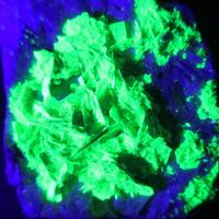 Autunite