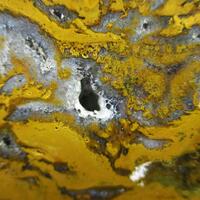 Eisenkiesel Psm Fossil Stromatolite Fossil Bacteria & Agate