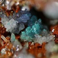 Scorodite With Chalcophyllite & Pharmacosiderite