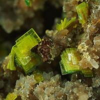 Autunite