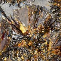 Wildenauerite