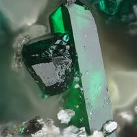 Paratacamite & Beaverite-(Cu)